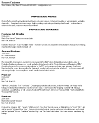 Before Version of Resume